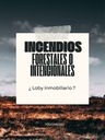 Ley de Tierras — 2